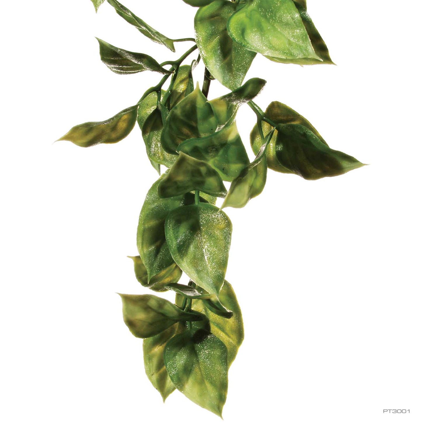 Exo Terra Jungle Plant Amapallo Small