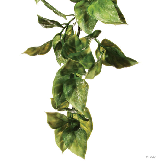Exo Terra Jungle Plant Amapallo Small