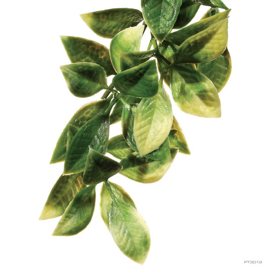 Exo Terra Jungle Plant Mandarin - Medium