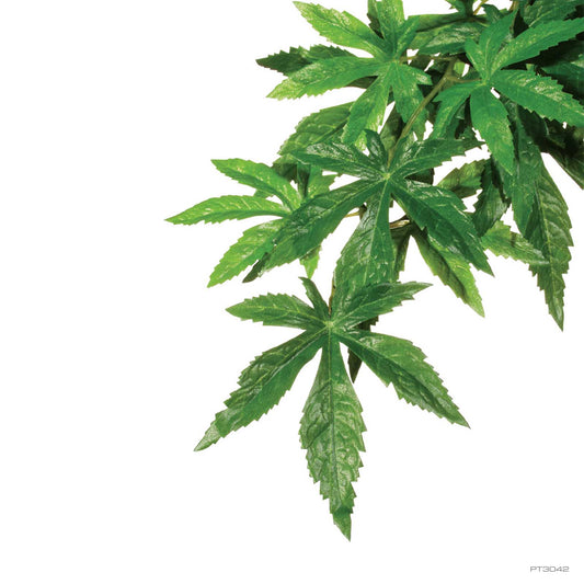 Exo Terra Jungle Plant Abutilon Silk - Medium
