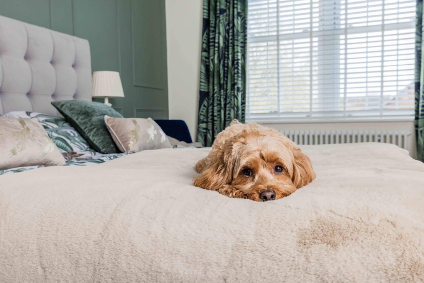 Pet Rebellion Faux Comfy Cover - Stone
