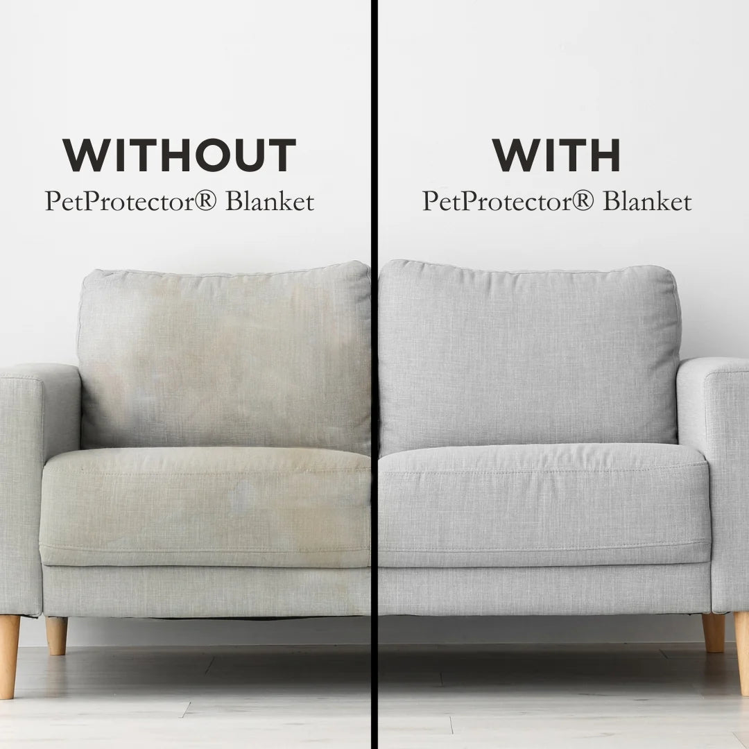 PetProtector Waterproof Blanket - Medium