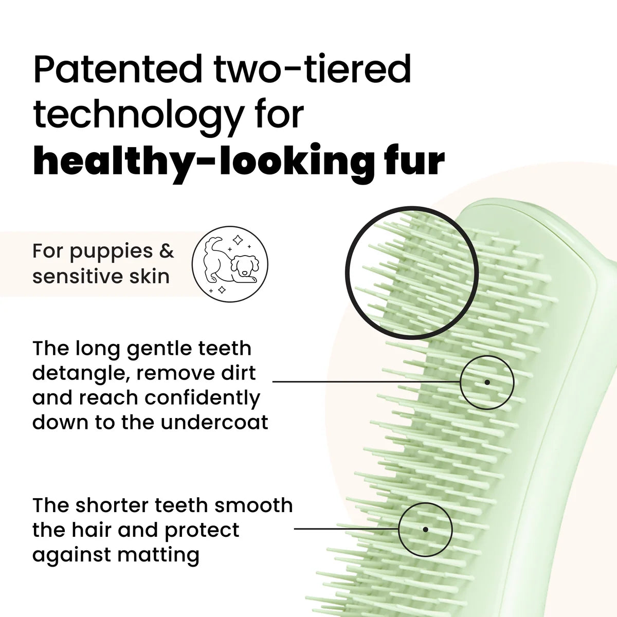 Pet Teezer Puppy Grooming Brush - Mint