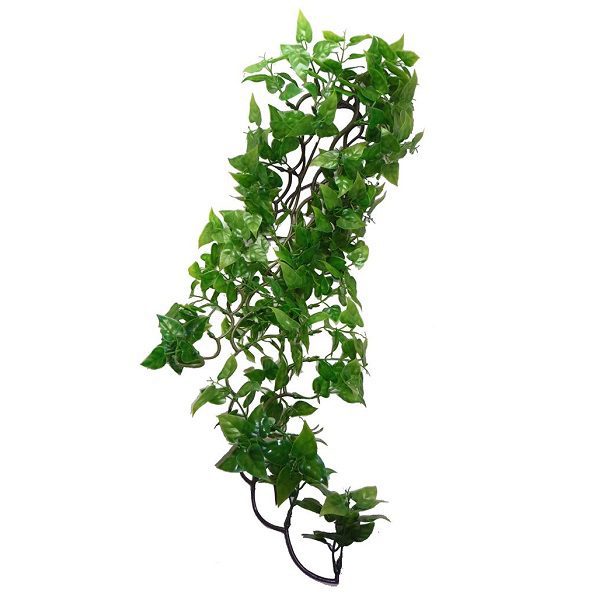 Komodo Philodendron Hanging Plant