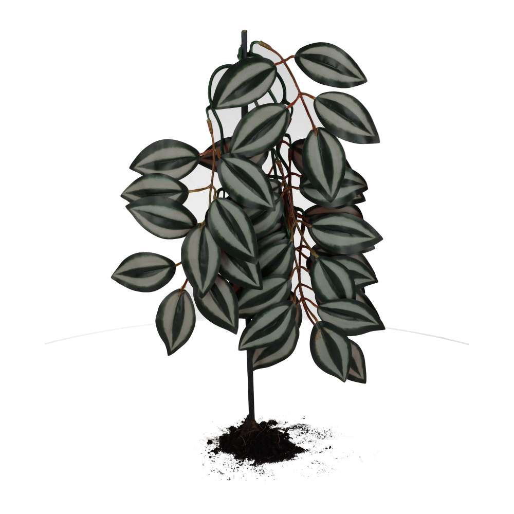 ProRep Silk Hanging Plant Wandering Dude