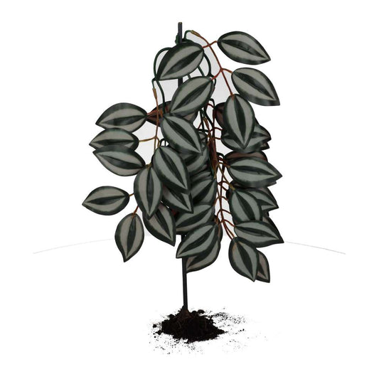 ProRep Silk Hanging Plant Wandering Dude