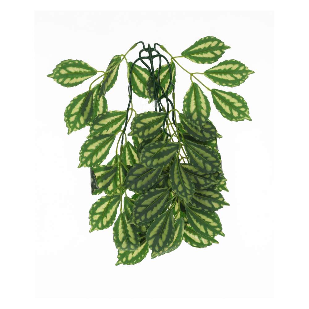 ProRep Silk Hanging Plant Watermelon Peperomia