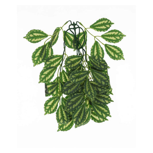 ProRep Silk Hanging Plant Watermelon Peperomia