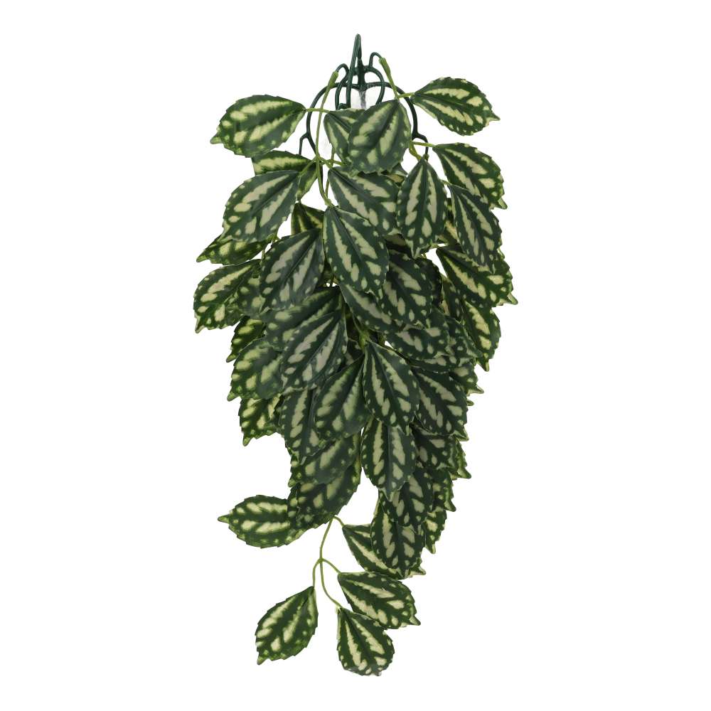 ProRep Silk Hanging Plant Watermelon Peperomia