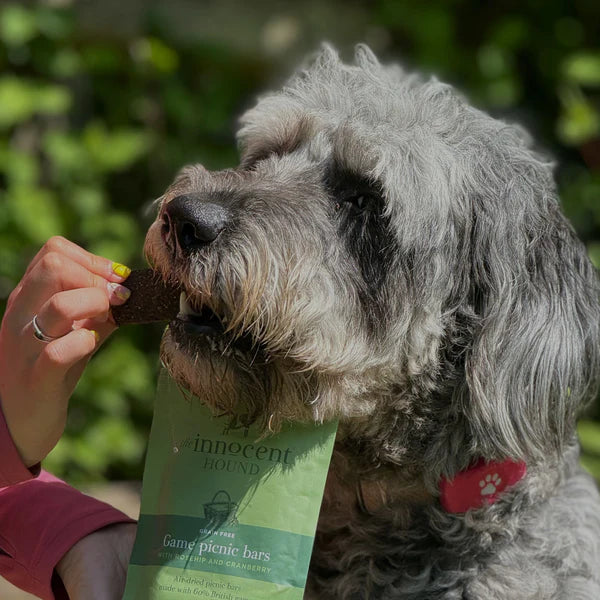 Innocent Hound Game Picnic Bars Venison Duck 70g