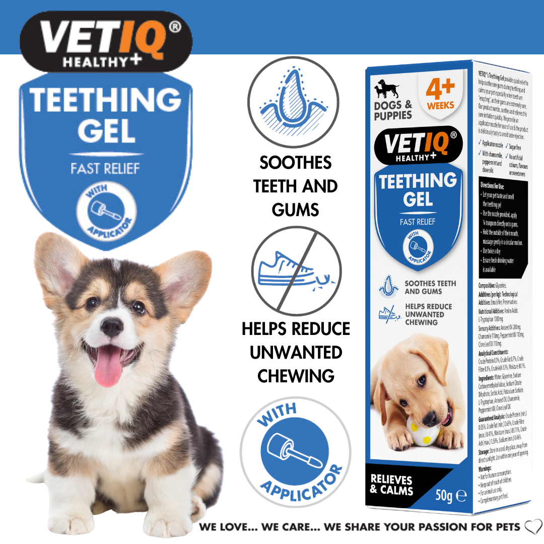 M&C VetIQ Teething Gel For Puppies 50g