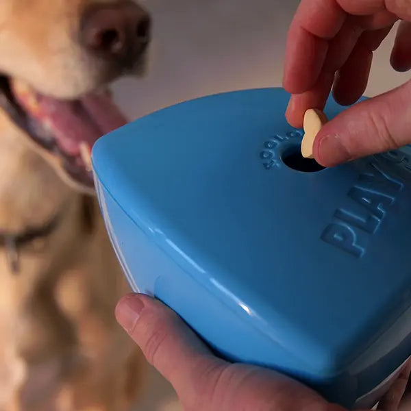 Play9 Roolo Treat Dispensing Dog Toy Blue