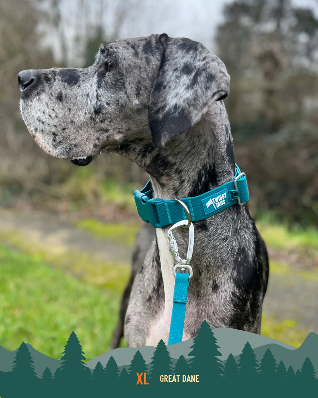 Twiggy Tags Tidal Collar - Azure