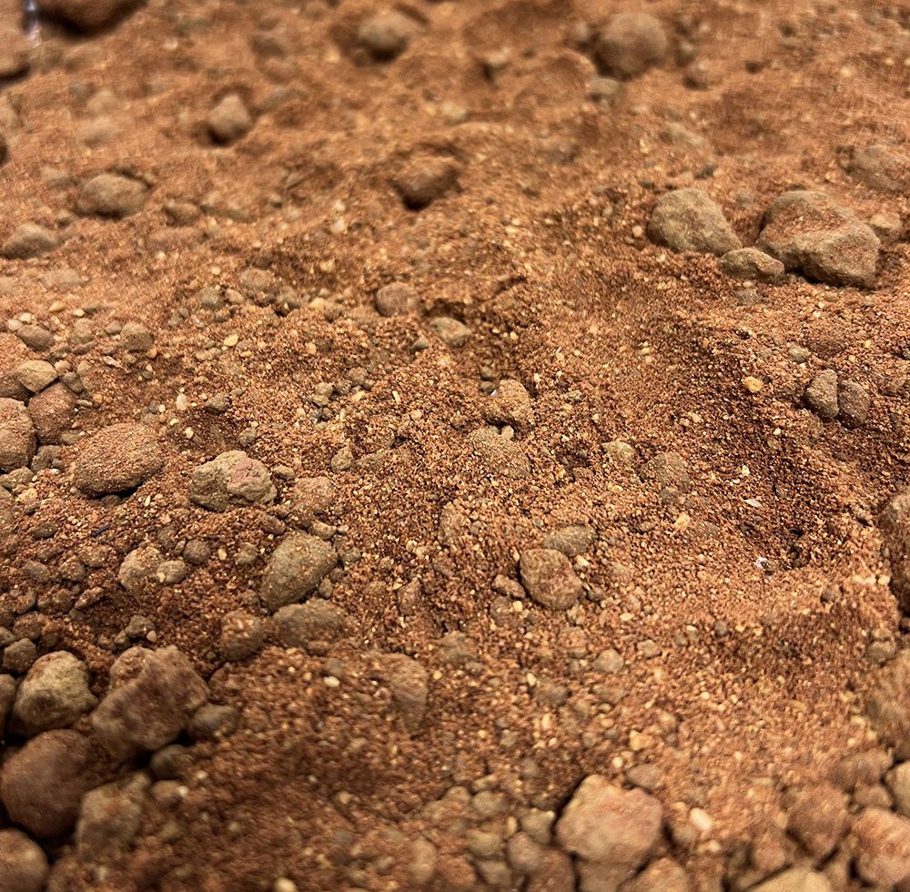 ProRep Beardie Life Substrate 10Kg