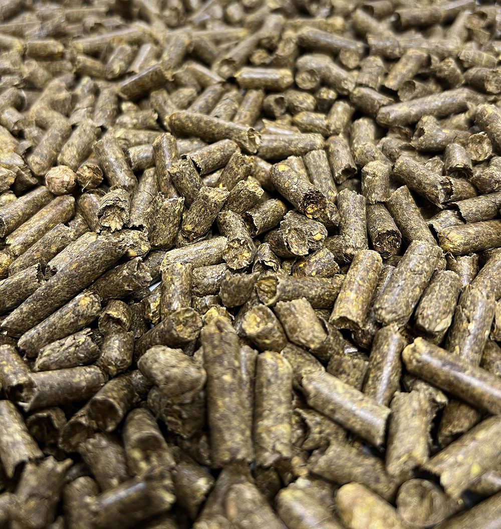 ProRep Straw Bedding Substrate 10L