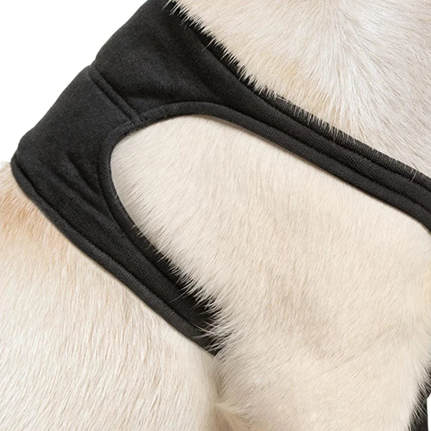 Suitical Recovery Sleeve Dog Front Leg