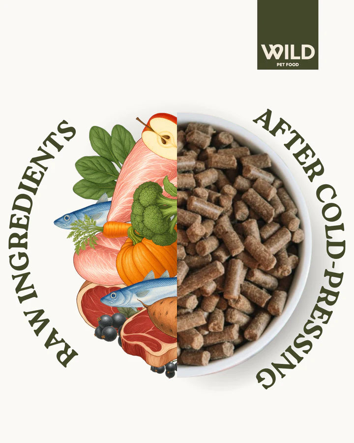 Wild 80:20 Surf & Turf