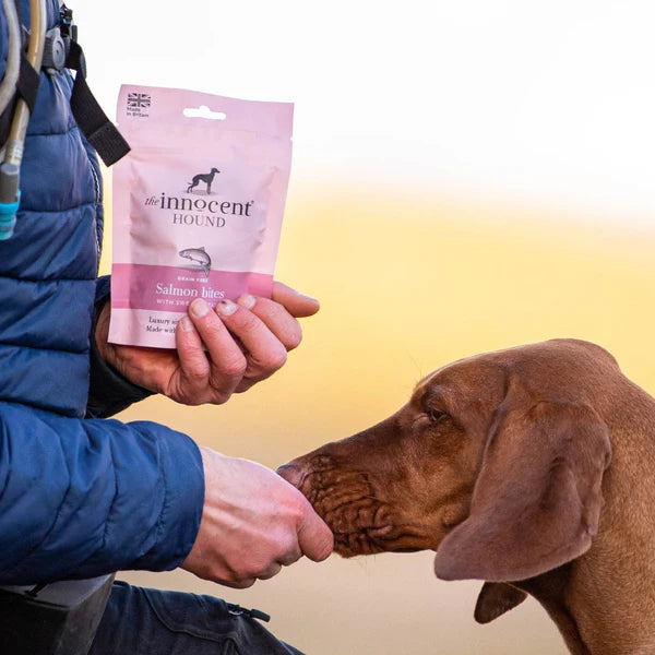 Innocent Hound Salmon Bites With Sweet Potato 70g