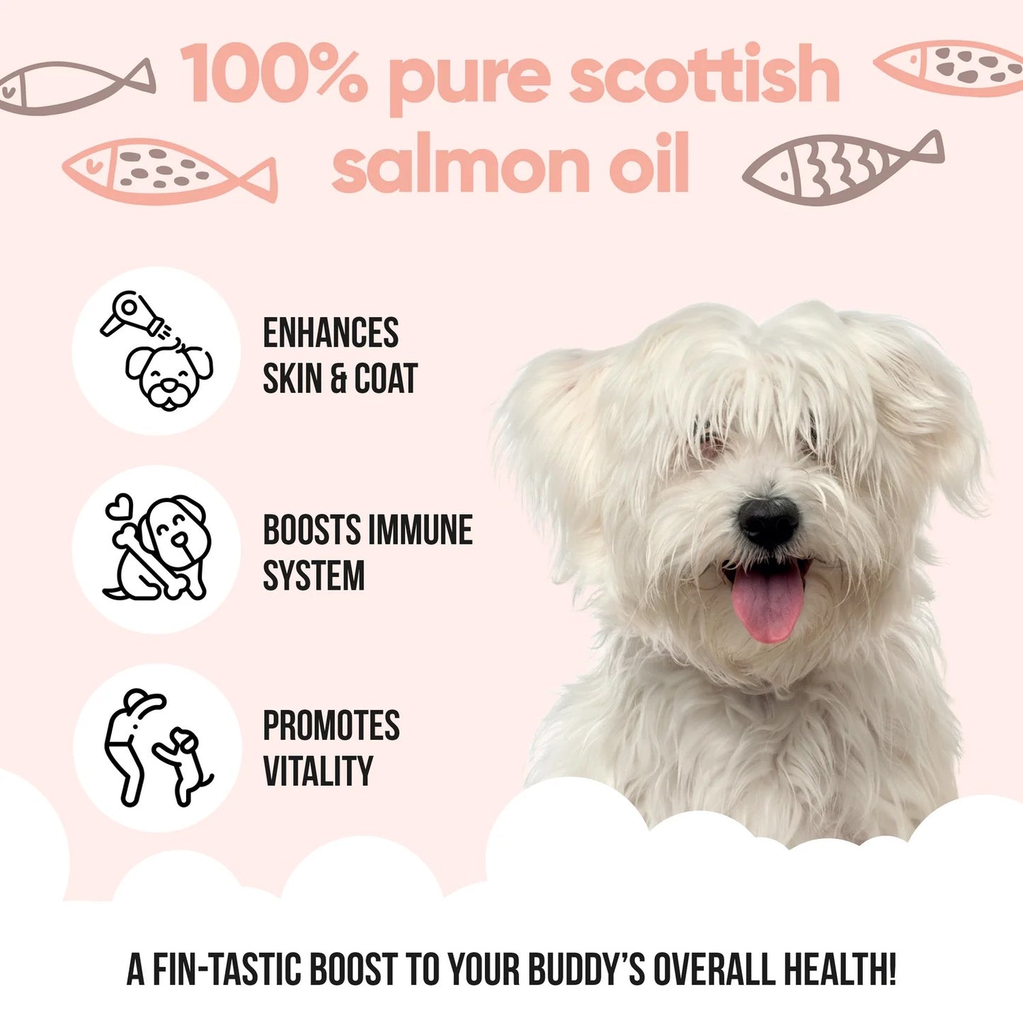 Buddycare Salmon Oil 1Ltr