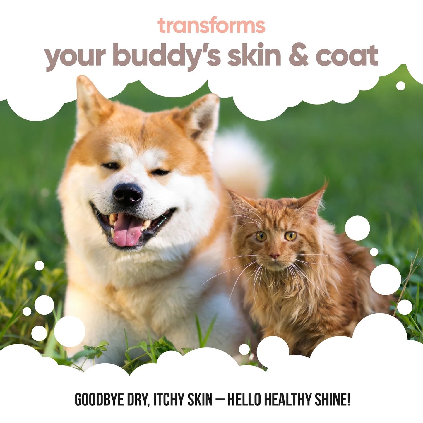 Buddycare Salmon Oil 1Ltr