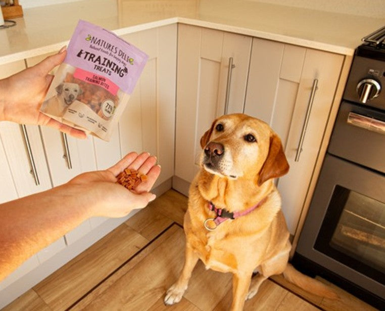 Natures Deli Salmon Training Bites 100g