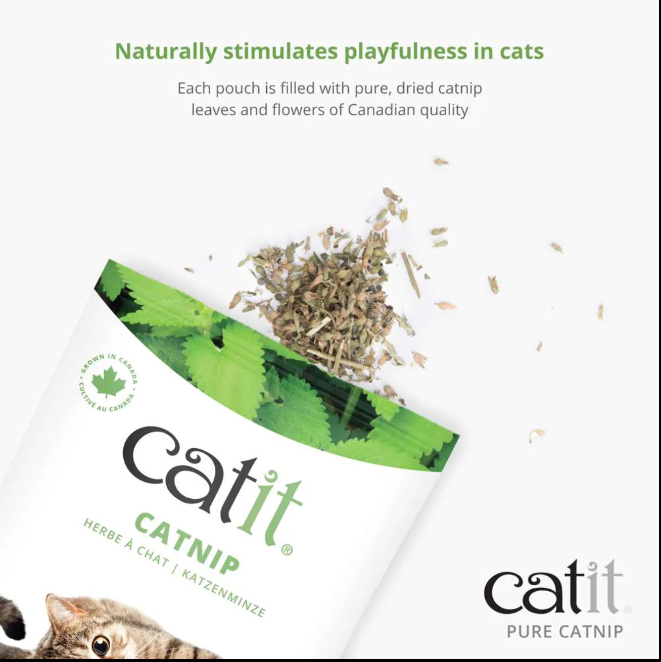 Catit Catnip - 56 g (2 oz) bag