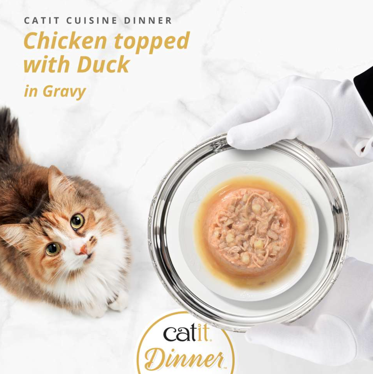 Catit Chicken Dinner with Duck 75g