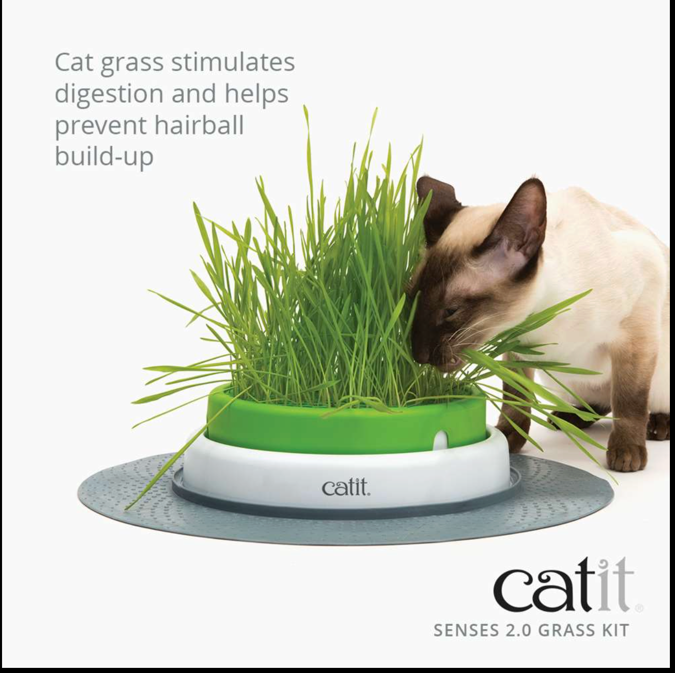 Catit 2.0 Cat Grass Kit set of 3