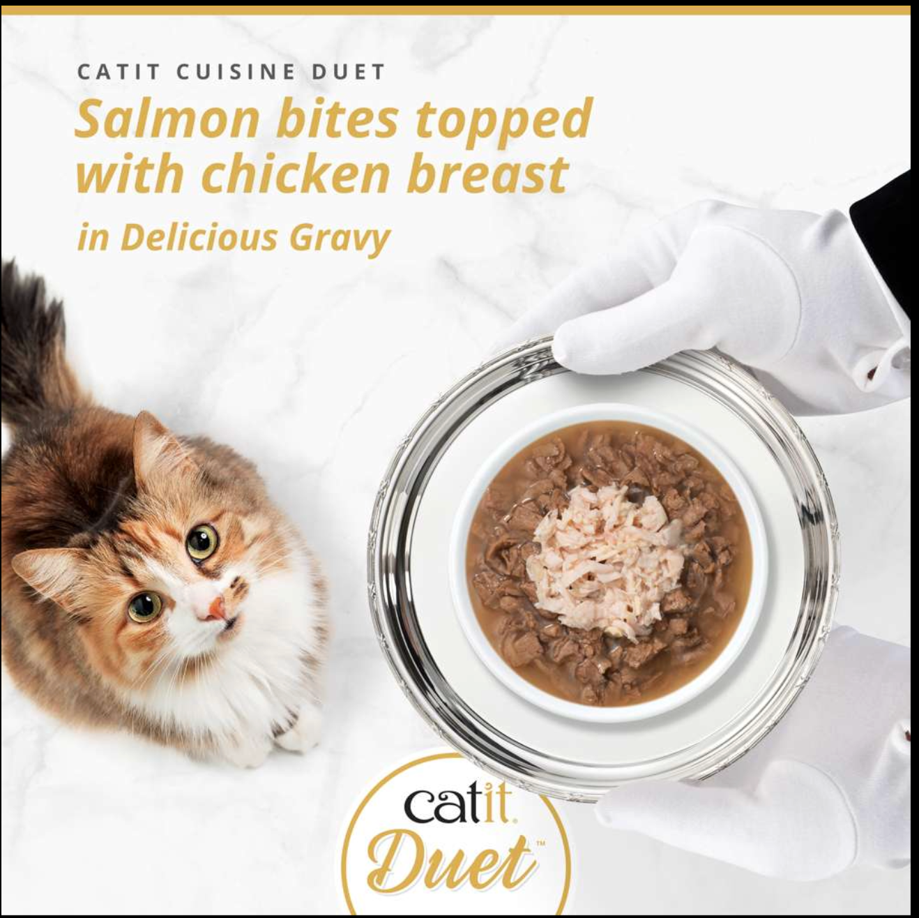 Catit Duet Salmon with Chicken 75g