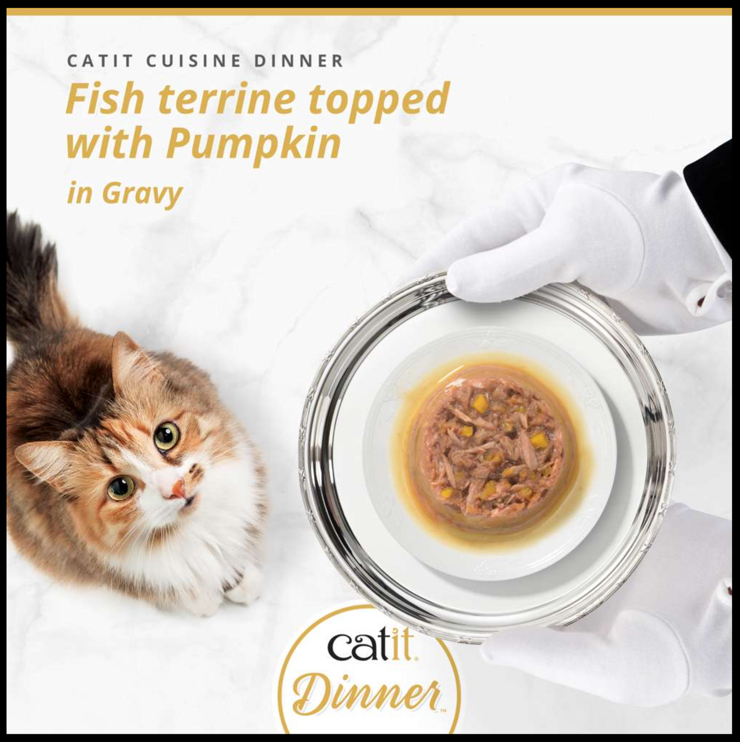 Catit Fish Dinner with Pumpkin 75g