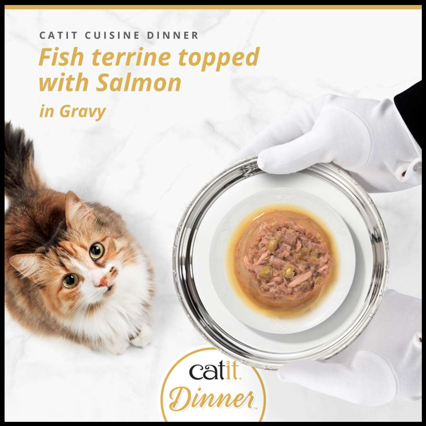 Catit Fish Dinner with Salmon 75g