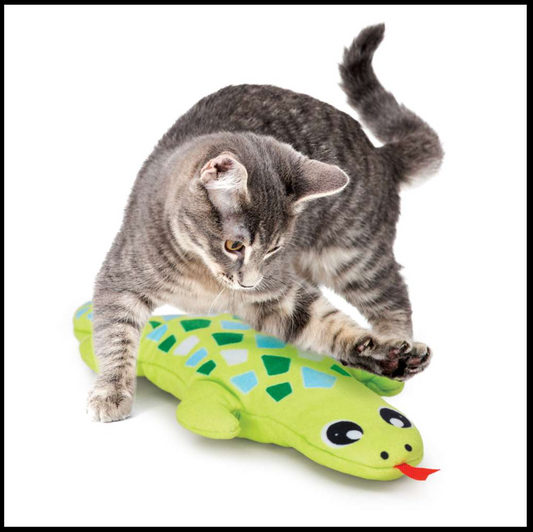 Catit Groovy Gecko - Green