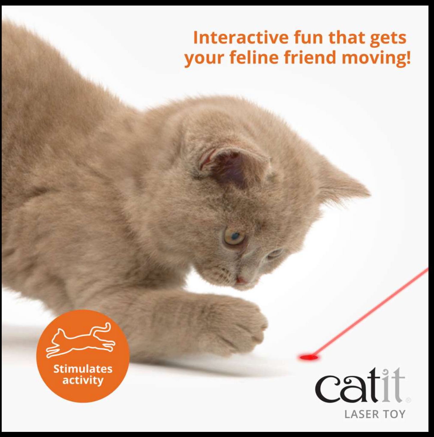 Catit Laser Mouse Toy