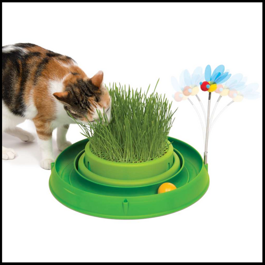 Catit Play 3 in 1 Circuit Ball Massager