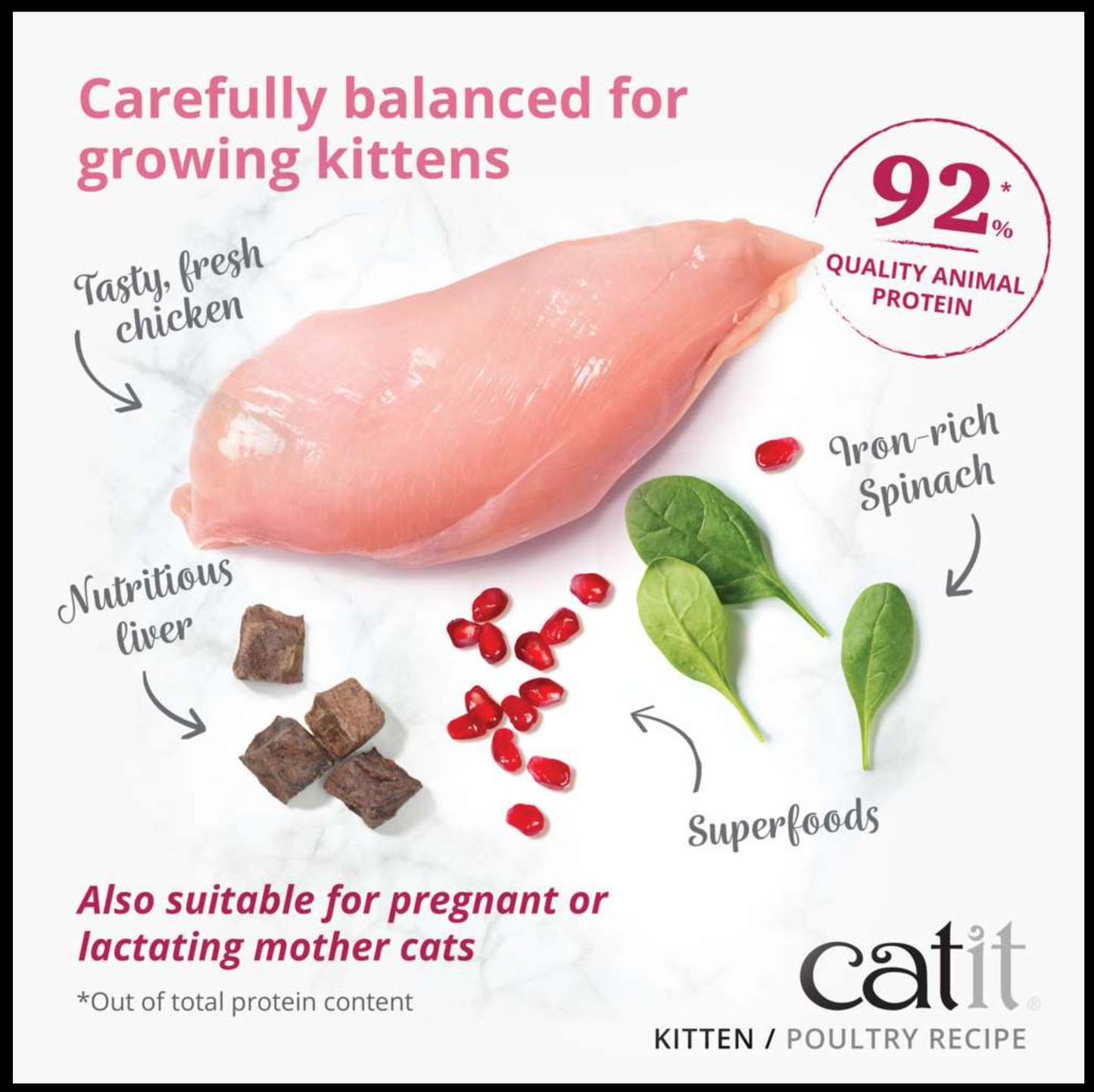 Catit Recipes Dry Kitten 2kg
