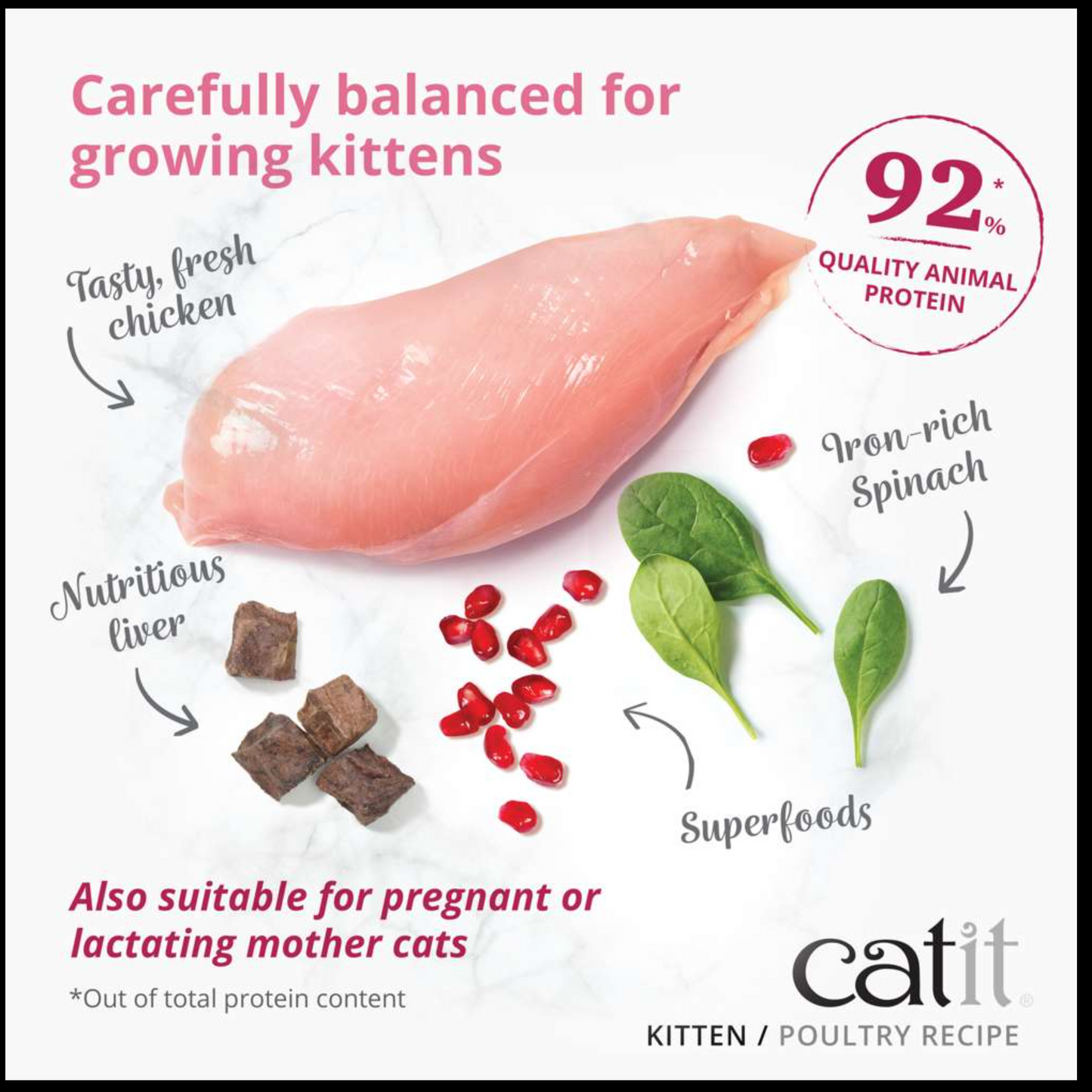 Catit Recipes Dry Kitten 400g
