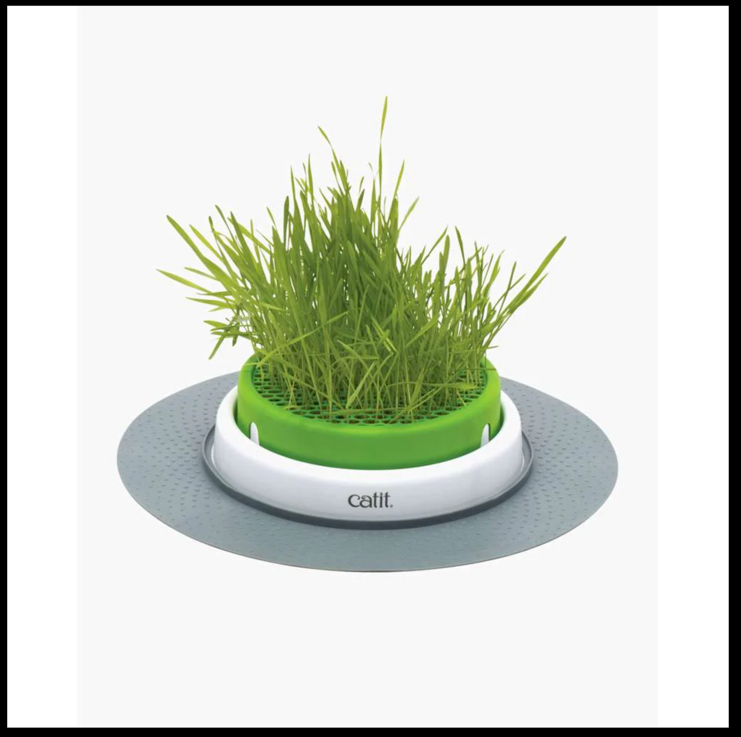 Catit Senses 2.0 Grass Planter