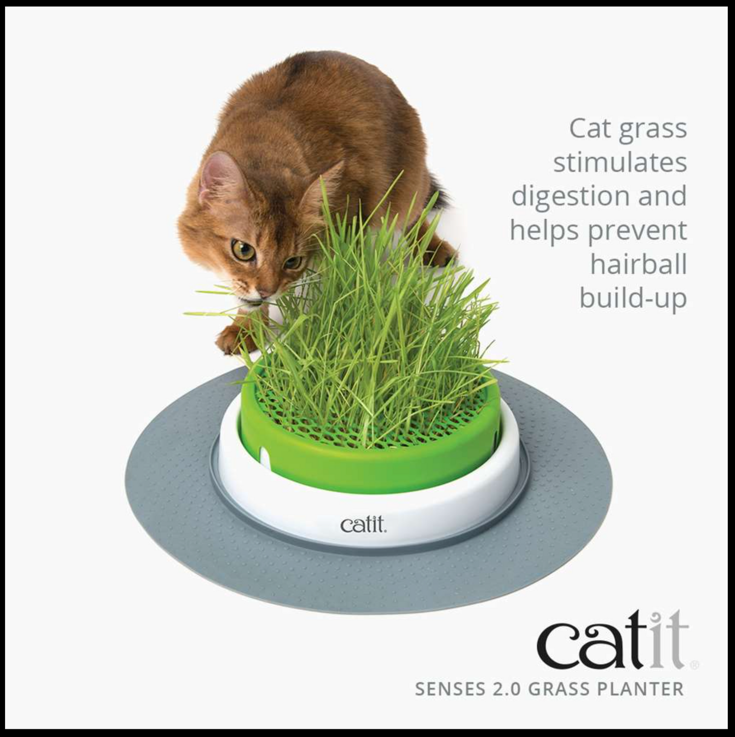 Catit Senses 2.0 Grass Planter
