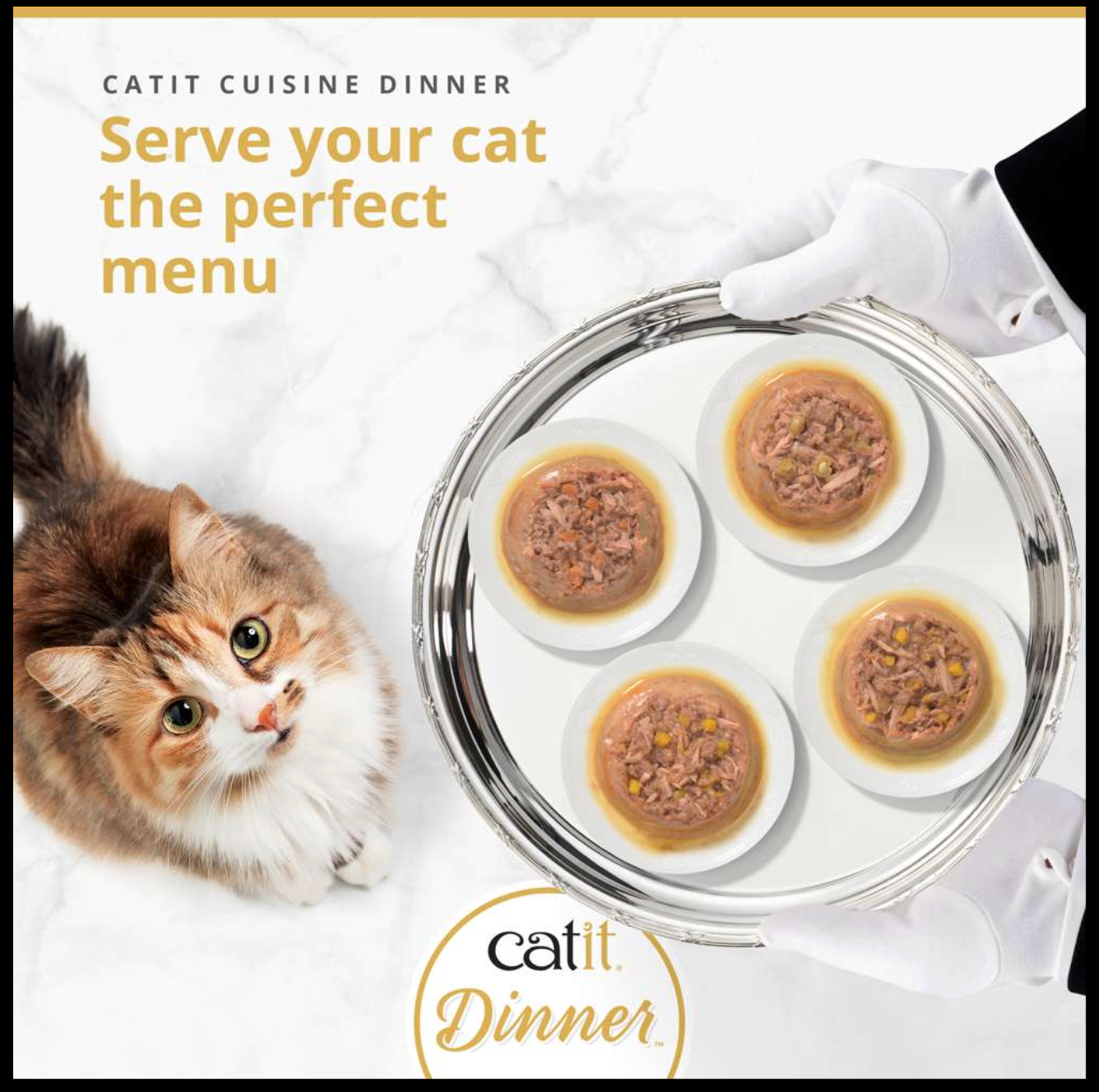 Catit Chicken Dinner Variety Pack 12x75g
