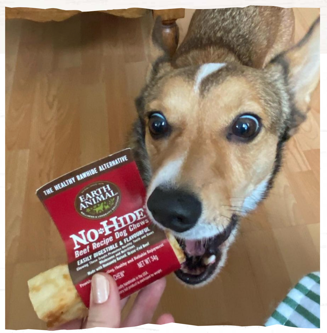 Earth Animal No Hide Beef Chew