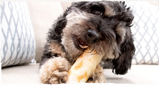 Earth Animal No Hide Peanut Butter Chew
