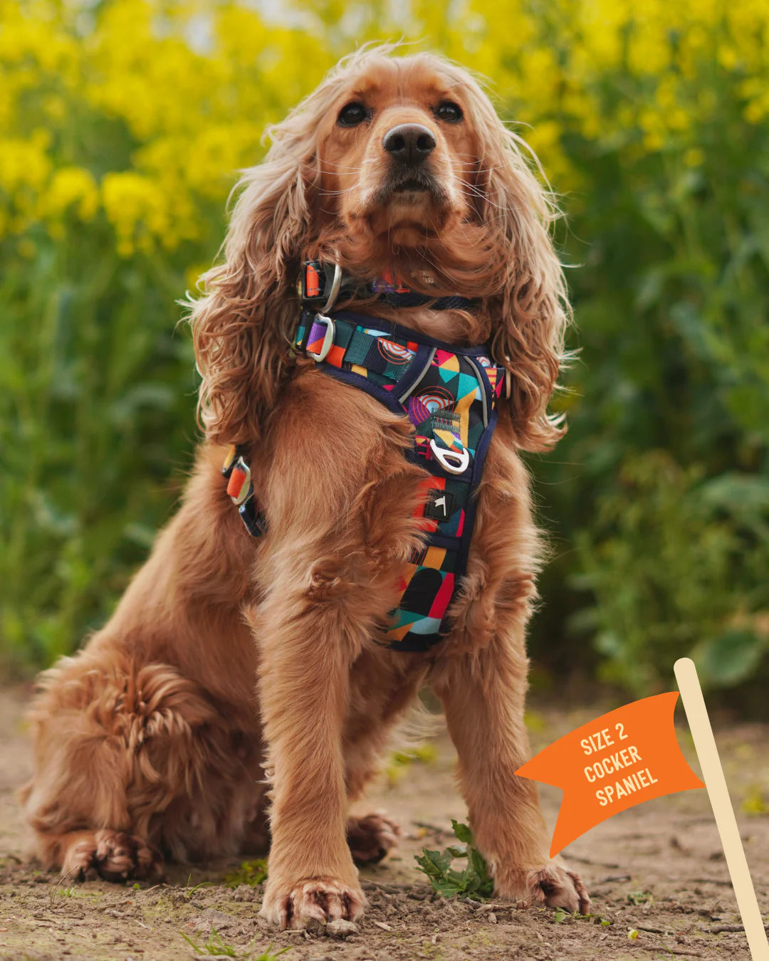 Twiggy Tags Harness Aurora