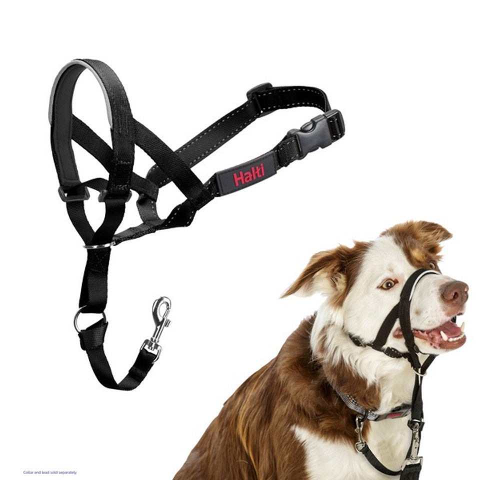 Company of Animals Halti Headcollar Black