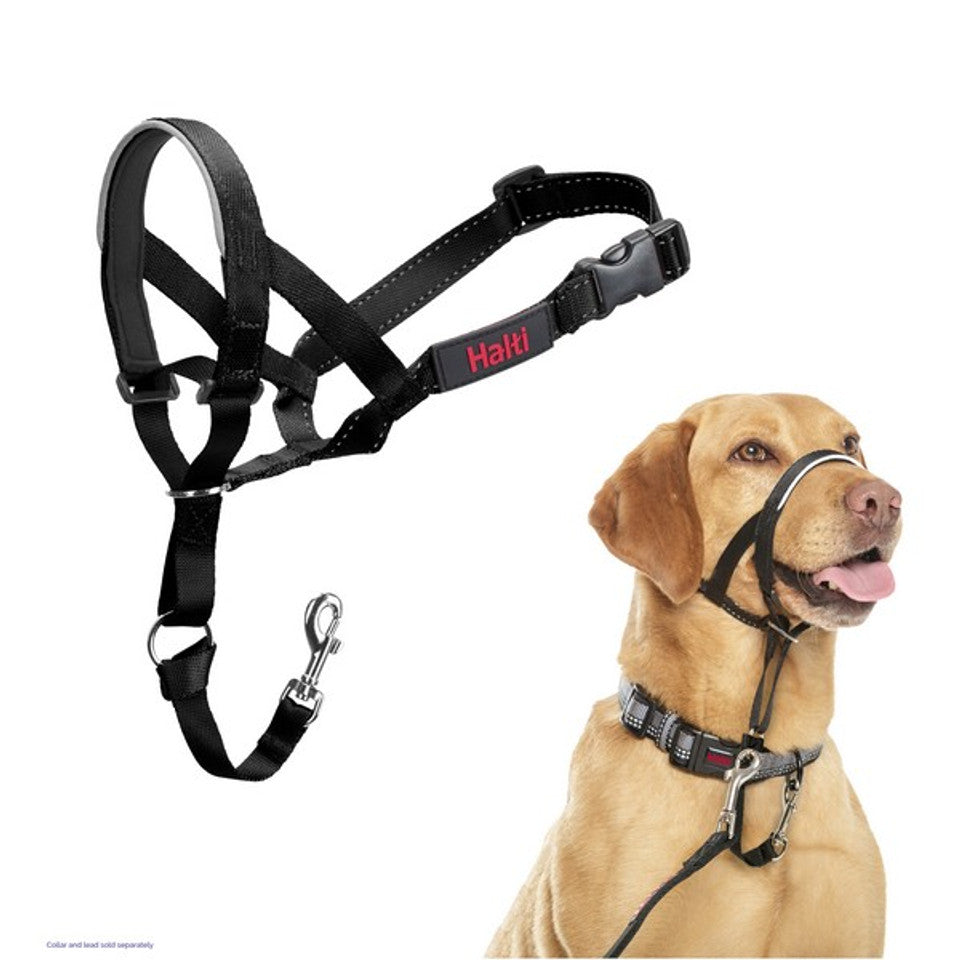 Company of Animals Halti Headcollar Black