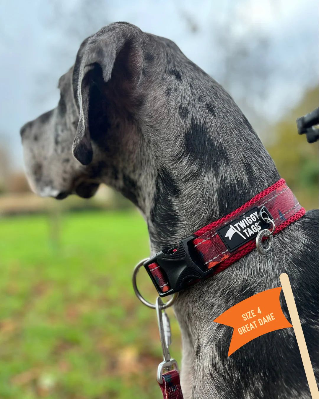 Twiggy Tags Collar Alpen Glow