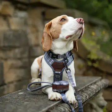 The aDoraBle Pooch Co. Streamline Harness Grey -