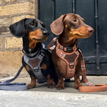 The aDoraBle Pooch Co. Streamline Harness Grey -