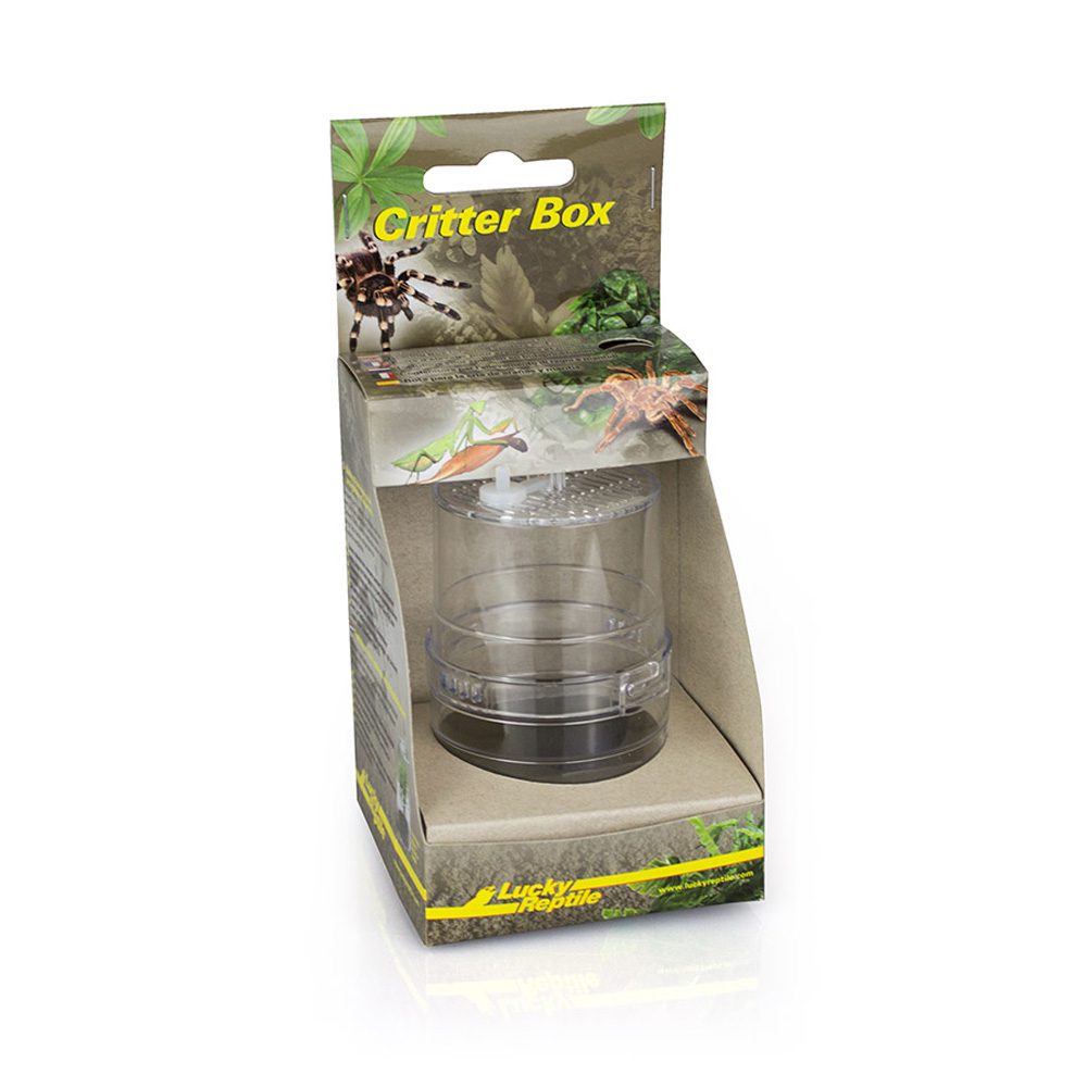 Lucky Critter Box Plastic Terrarium Small 10x5cm