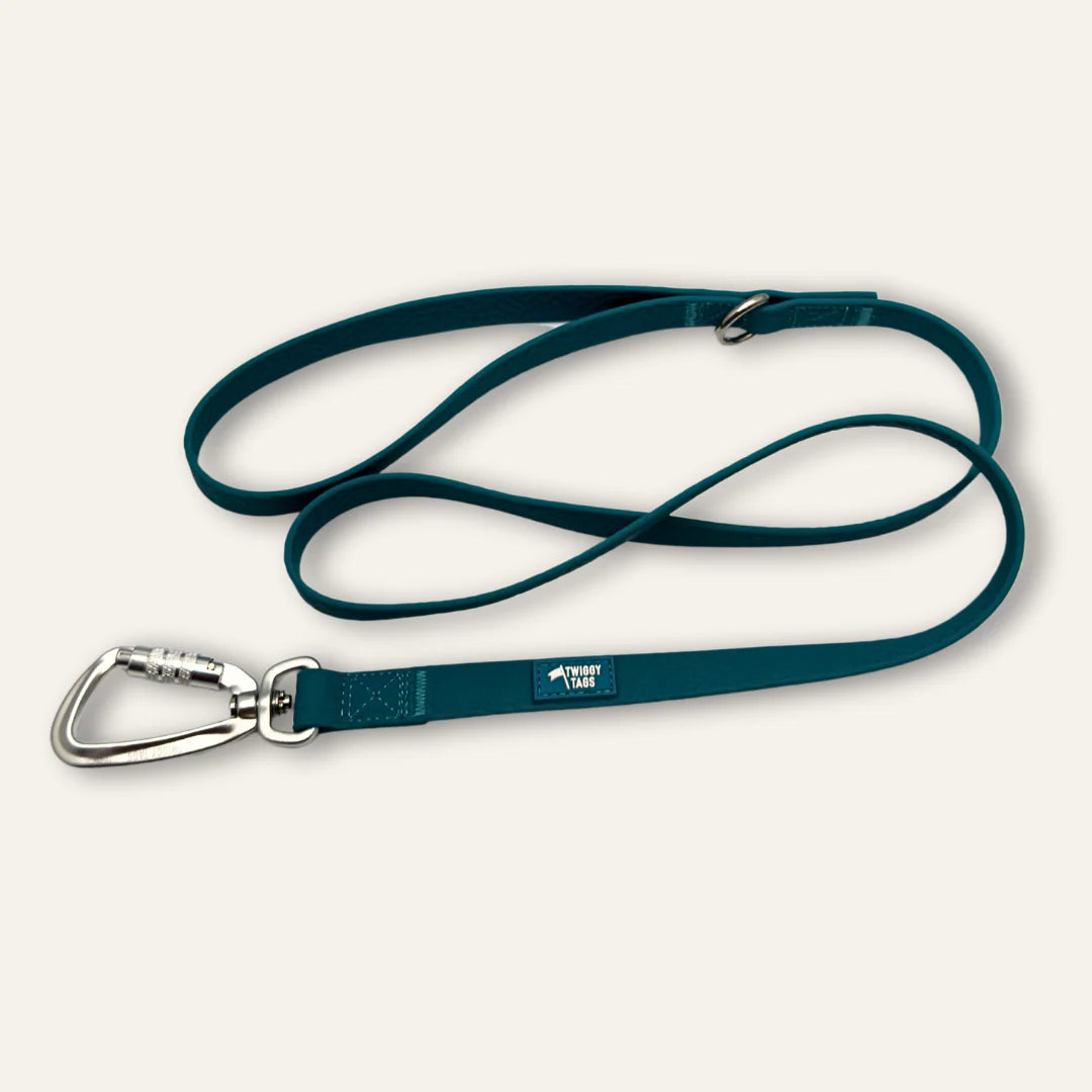 Twiggy Tags Tidal Lead 120cm - Azure