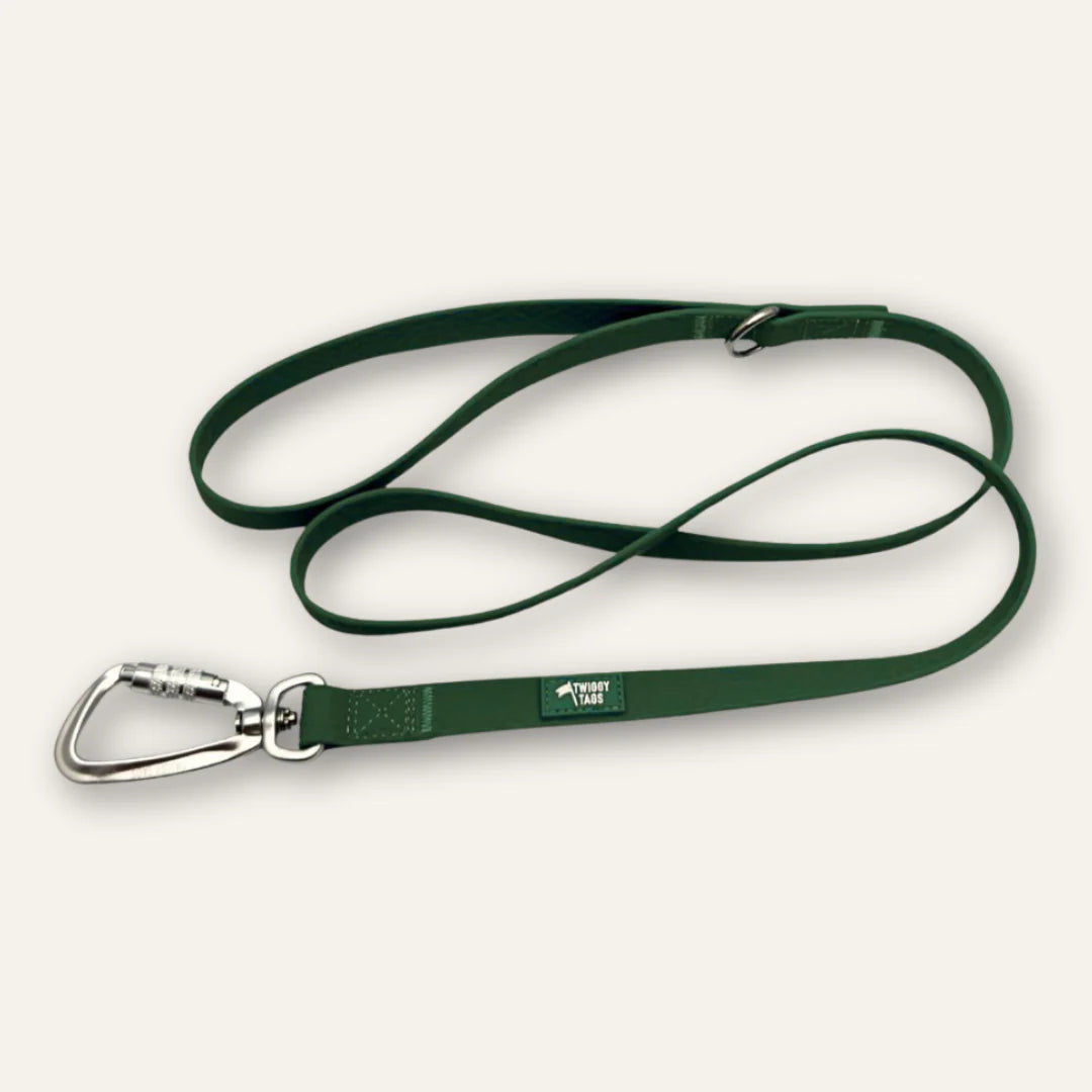 Twiggy Tags Tidal Lead 120cm - Fern